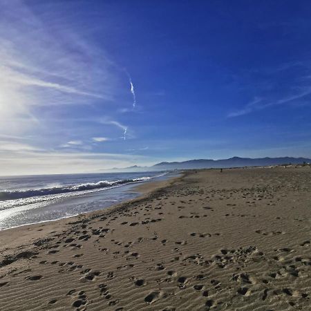 Appartement Climatise Vue Mer 208 Canet-en-Roussillon Ngoại thất bức ảnh