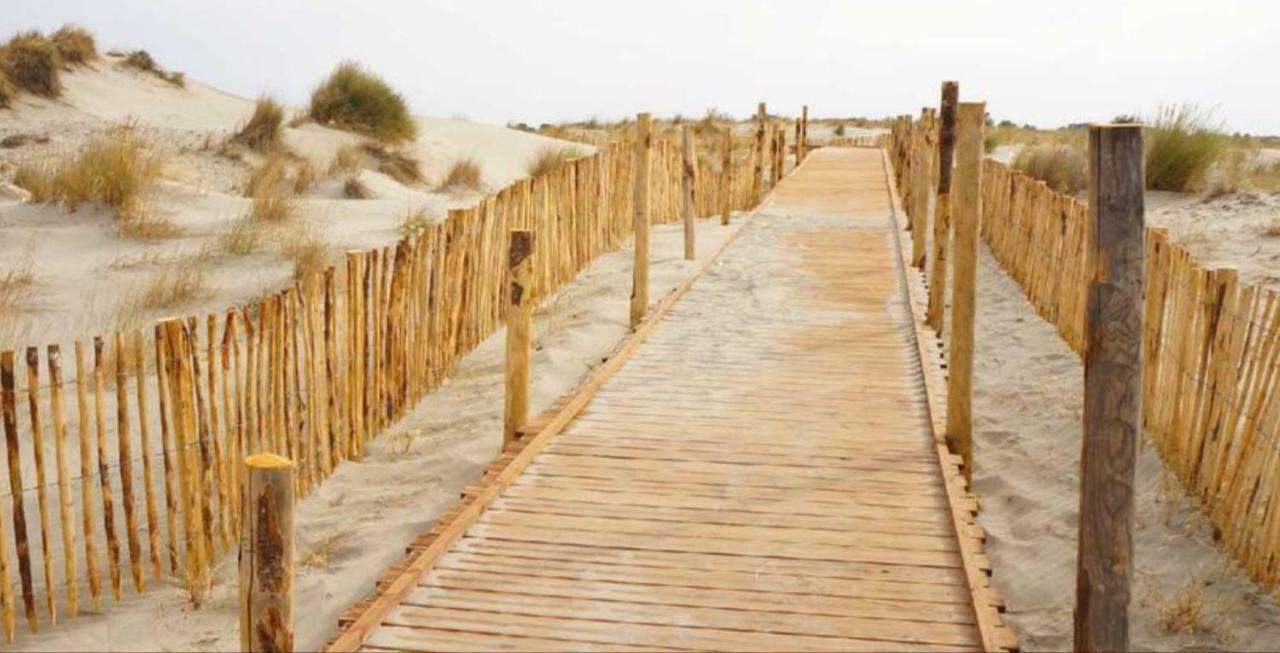 Appartement Climatise Vue Mer 208 Canet-en-Roussillon Ngoại thất bức ảnh